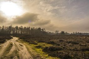 Background Forest Landscape Air