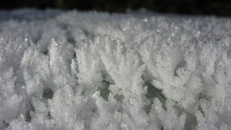 closeup of hoarfrost