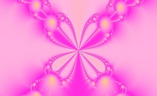pink fractal on a pink background