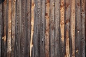 Wood Wooden Wooden Planks Board