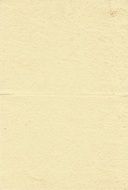 Paper Texture Butter Raw Yellow
