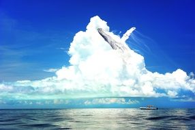 Whale Sea Sky Blue Cloud Fox