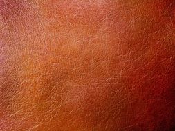 Texture Fabric Pattern Design