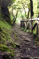 Path Galicia Trail Landscape
