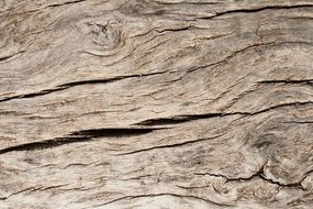 cracked wood texture