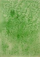 wallpaper with green watercolor texture