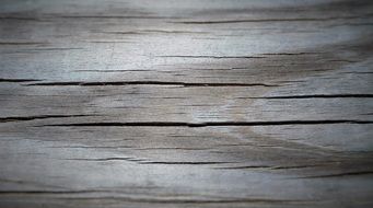 Wood Wooden Wood Board Texture