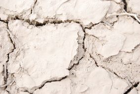 Dry Lake Bed Cracked Dry Nature