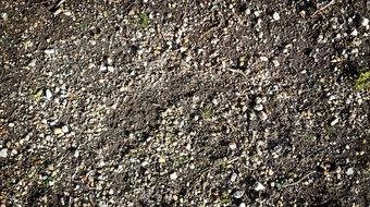 small pebbles on the ground