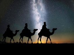 Camels Desert Travel Sand