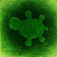 green turtle on the green background