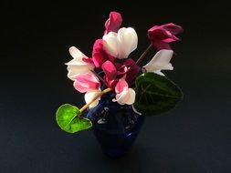 Flowers Bouquet Cyclamen Vase