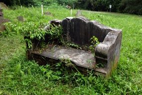 Old Stone Bench Abandoned Cemetery