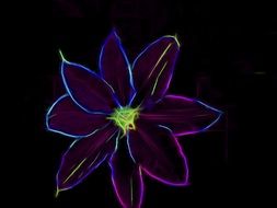 Art Work Art Flower Clematis