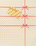 gift package in polka dot