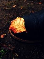 Sheet Autumn Shoe Detail