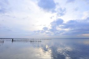 Valencia Lake Albufera Water