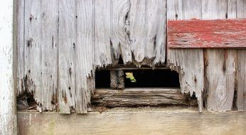 old weathered wooden door