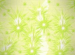 background with greenish star pattern