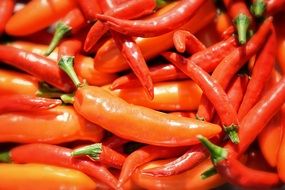 red peppers with green tails