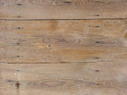 Background Wood Texture Old Wood