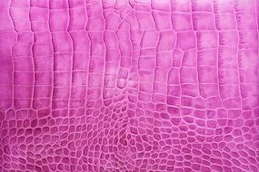 Background Pink Grain Leather