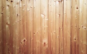 wooden slat wall