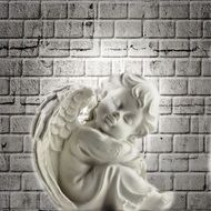 Angel Wall Light Fig