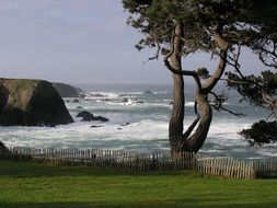 Ocean Seascape Landscape