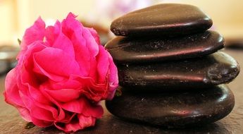 stacked pebbles and pink flower