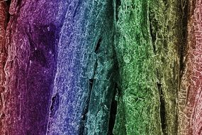 absract colorful wooden texture