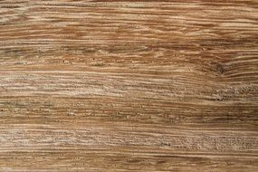 Wood Texture Angelim Brazilian