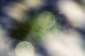 blue green lights in bokeh effect
