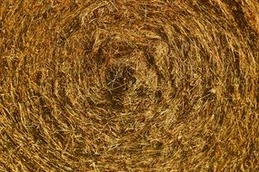 background with straw bale