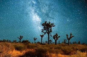 milky way in night sky