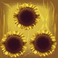 Sun Flower Background Yellow