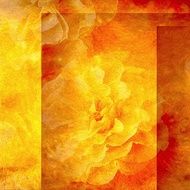 yellow background with roses silhouette