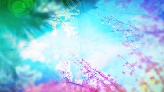 Spring Sky Color Background