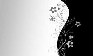 Wallpaper Black White Decorative