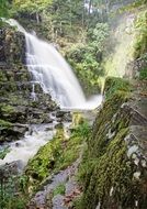 Waterfall Water Forest Cascade