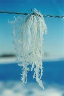 Ice Nature Winter Frozen