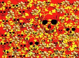 abstract pattern with skulls