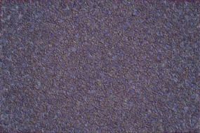 Texture Plaster Wall Colored