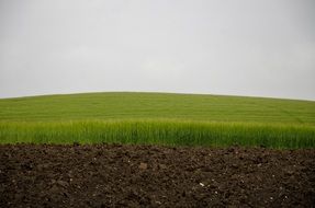 Green Field Sky And Field