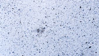 white background with particles
