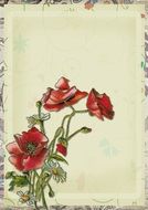 Vintage Background Red Lace