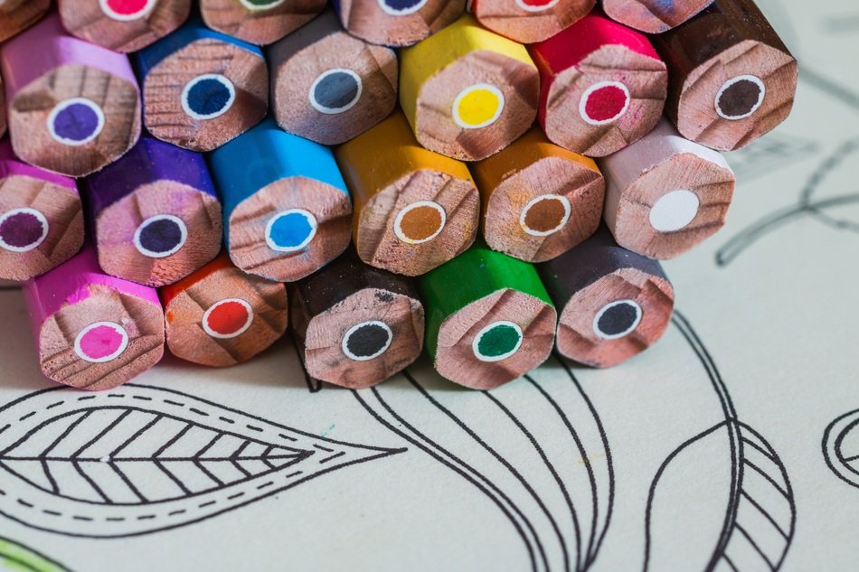 Coloring Book For Adults