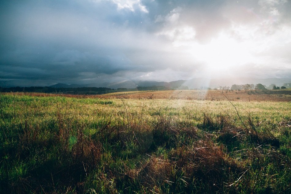 Sunlight Ray Grass Field