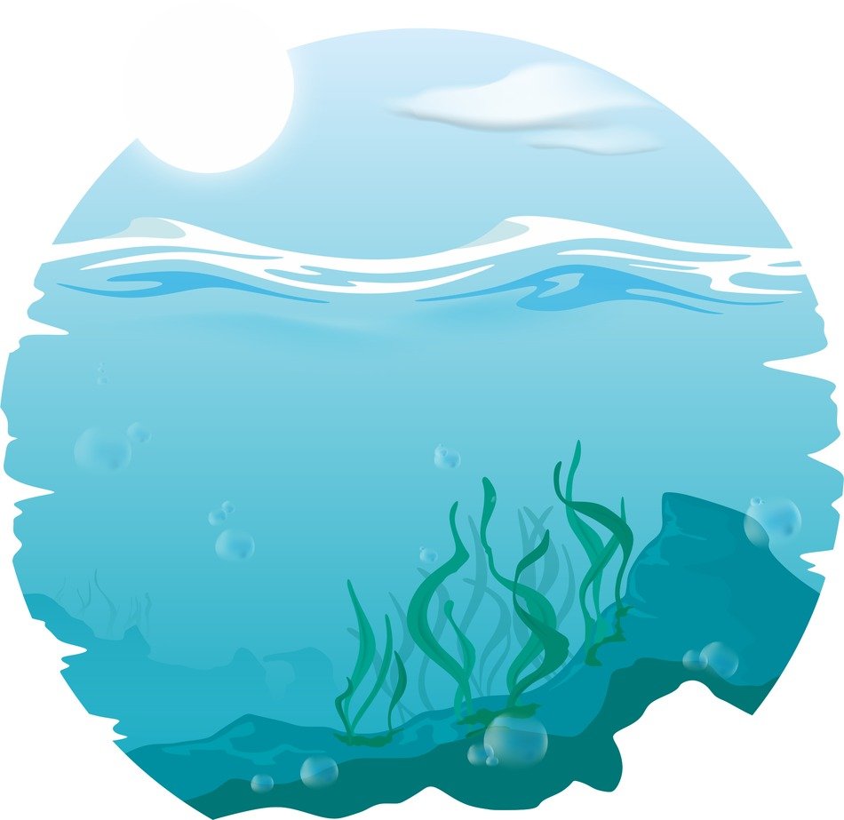 Logo Sea Foliar Alga Marin