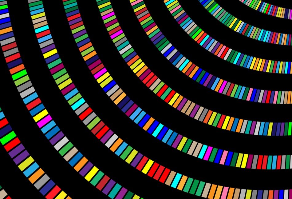 Color Swinging Circle Range